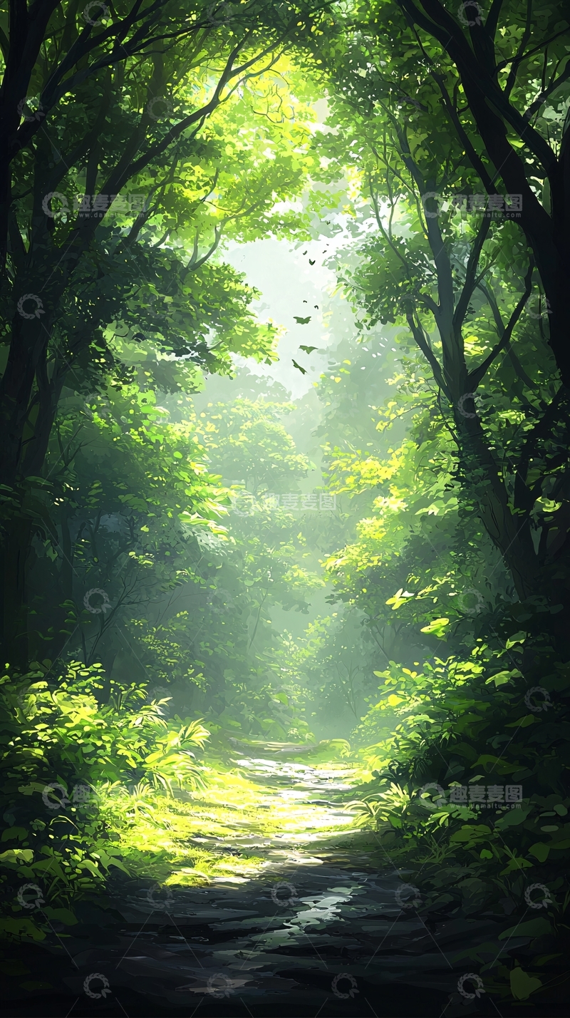 高清大图下载【趣麦麦图】森林小径阳光穿透