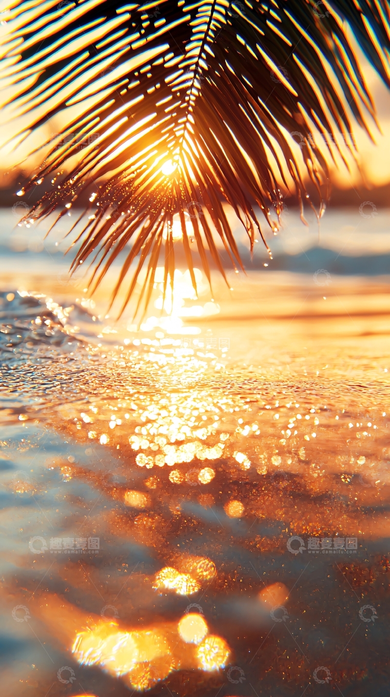 高清大图下载【趣麦麦图】日落海滩椰子树