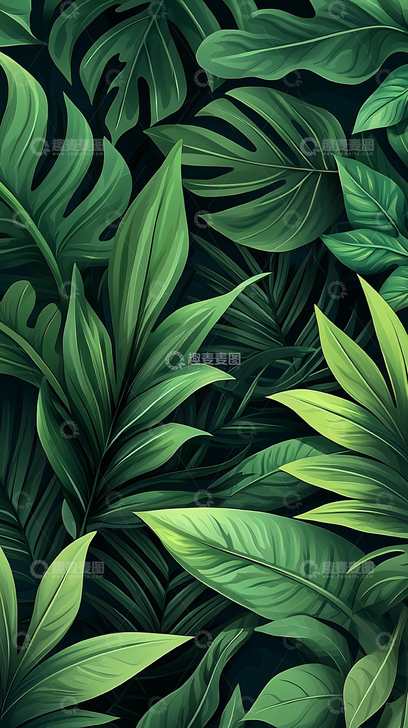 高清大图下载【趣麦麦图】热带植物叶子背景图