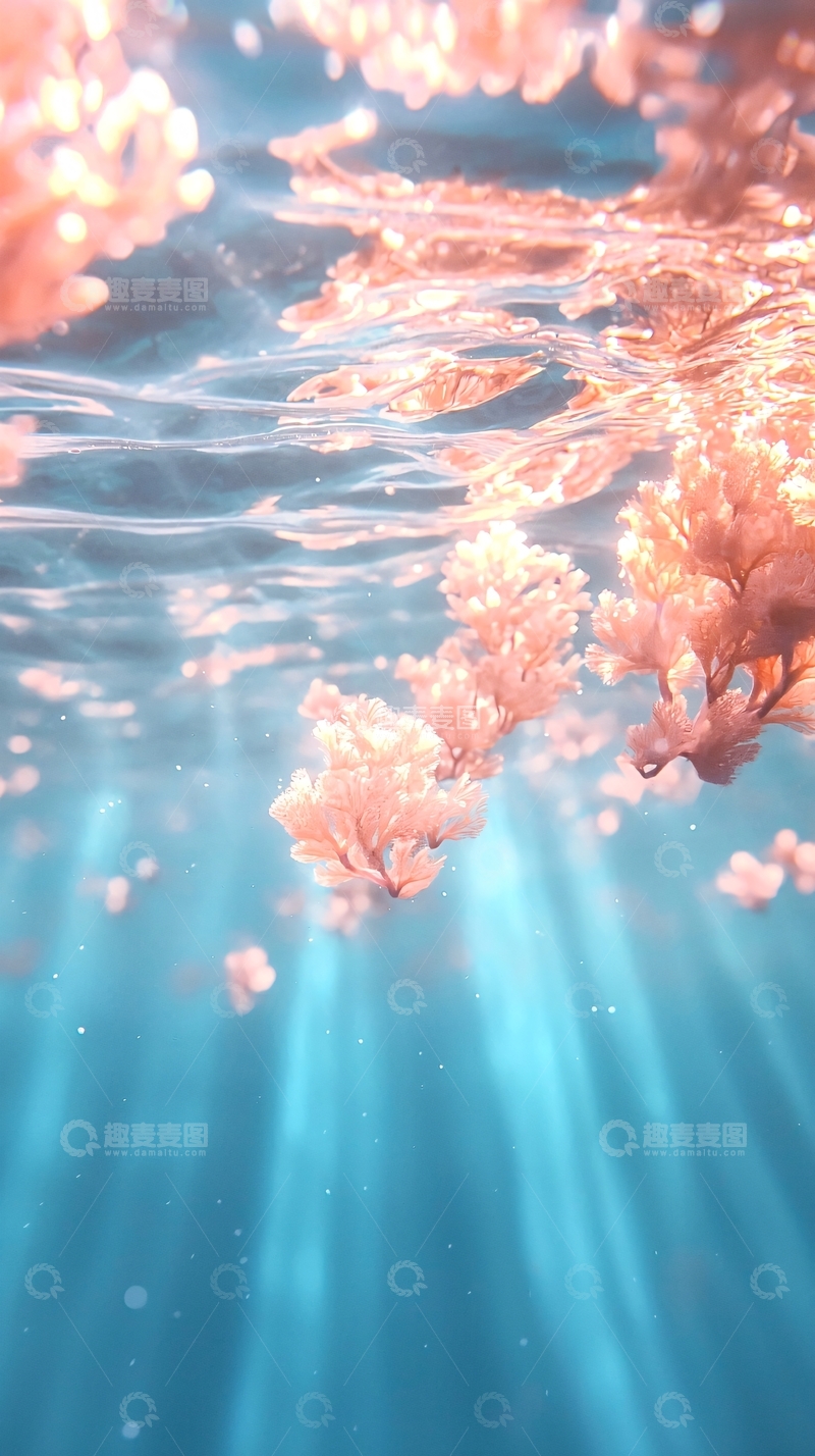 高清大图下载【趣麦麦图】海底珊瑚光影