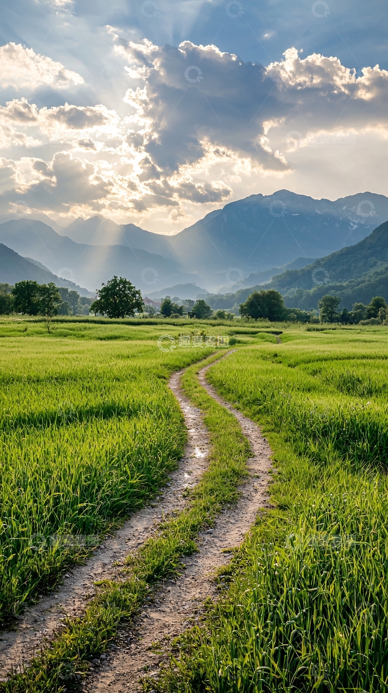 高清大图下载【趣麦麦图】山间小路与阳光