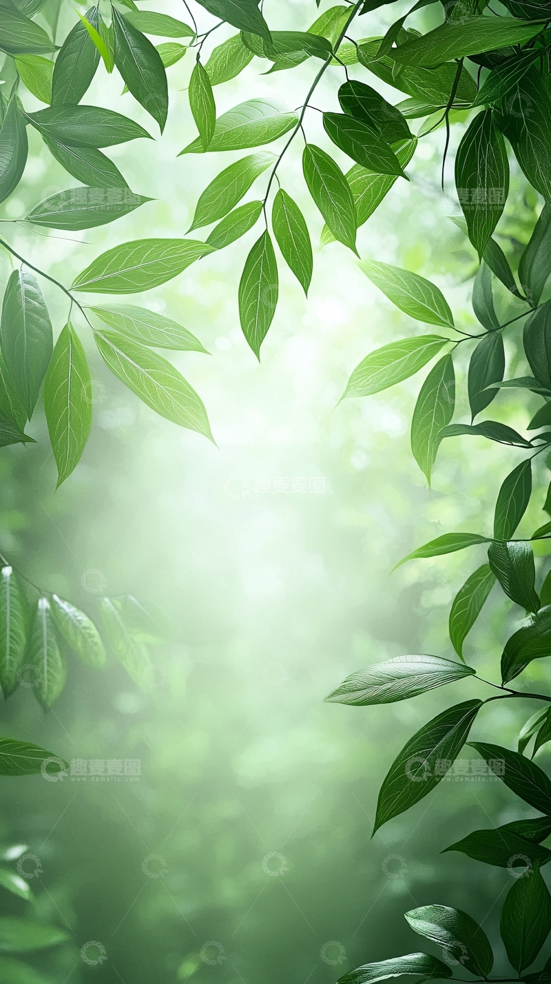 高清大图下载【趣麦麦图】清新自然森林背景