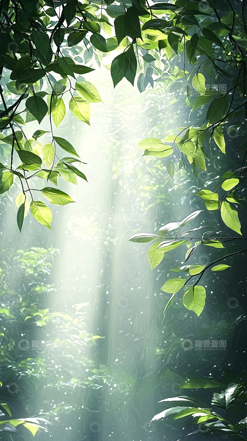 高清大图下载【趣麦麦图】阳光穿透森林树叶