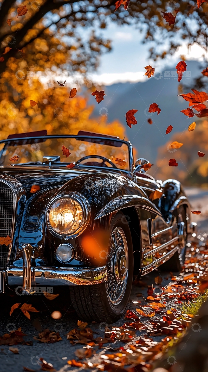 高清大图下载【趣麦麦图】秋日落叶与复古车