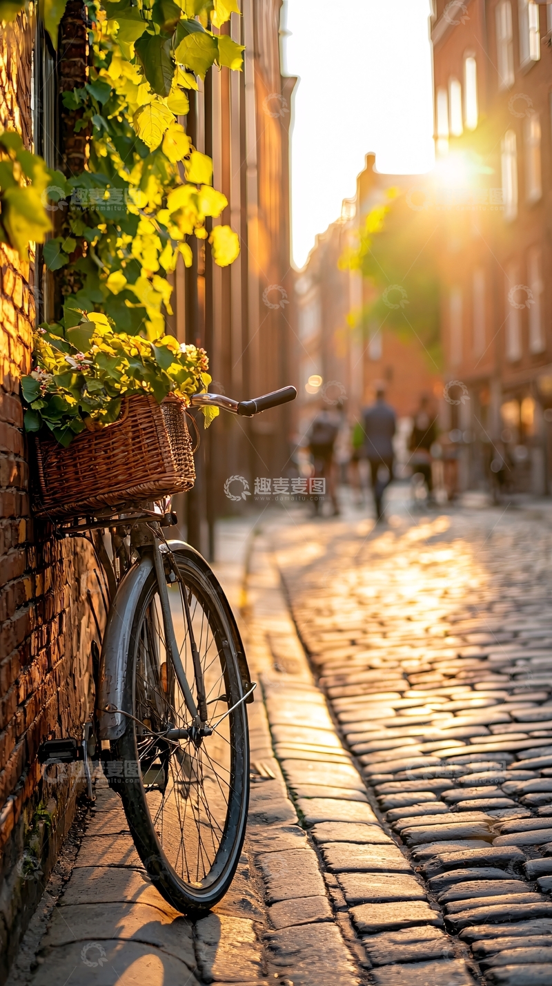 高清大图下载【趣麦麦图】夕阳下的老街与自行车