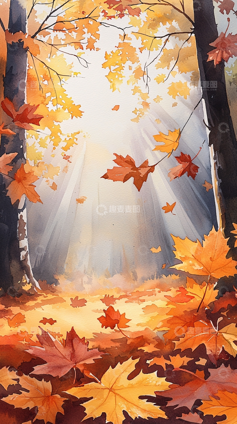 高清大图下载【趣麦麦图】秋日森林落叶光影