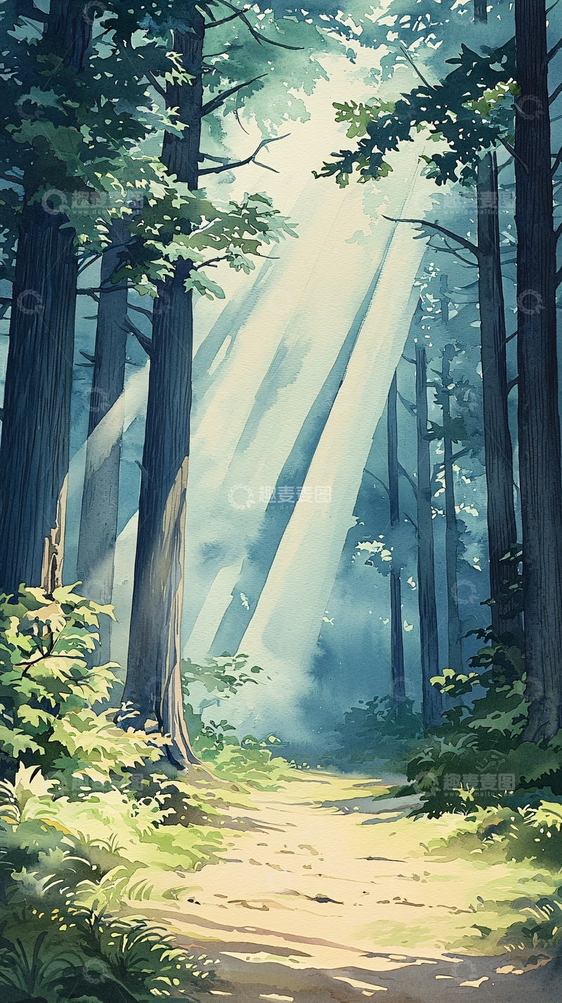 高清大图下载【趣麦麦图】森林中的阳光穿透
