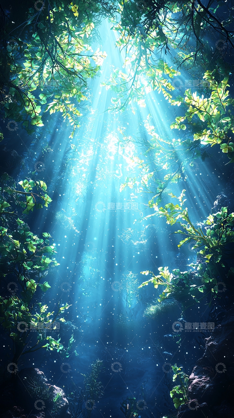 高清大图下载【趣麦麦图】森林中的阳光穿透树叶