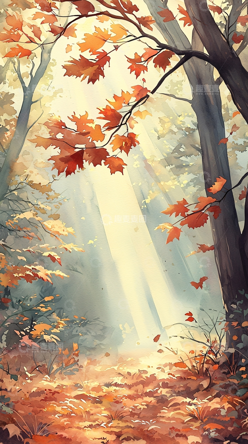 高清大图下载【趣麦麦图】秋日森林阳光穿透