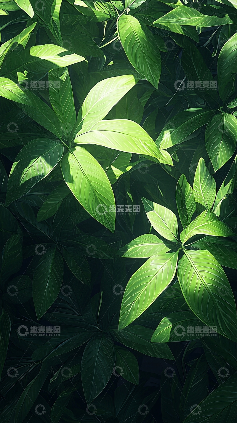 高清大图下载【趣麦麦图】绿色植物叶子背景图