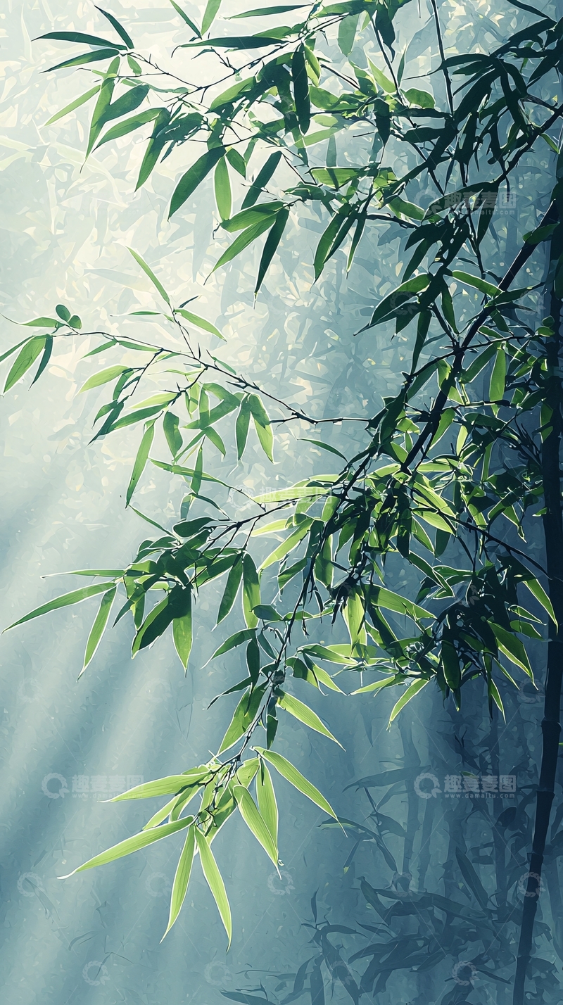 高清大图下载【趣麦麦图】竹林光影自然风景