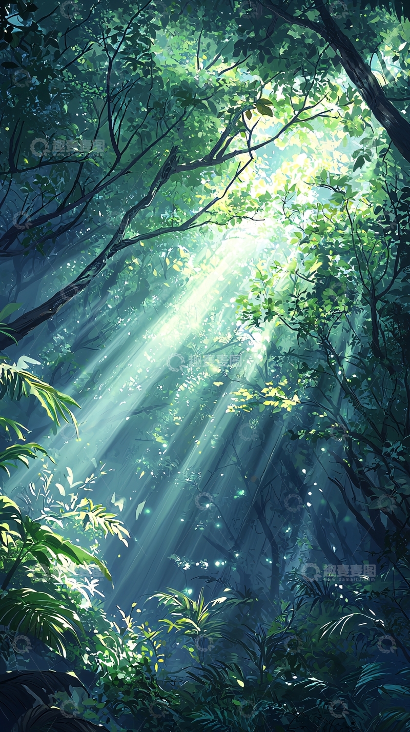 高清大图下载【趣麦麦图】森林中的阳光穿透树叶