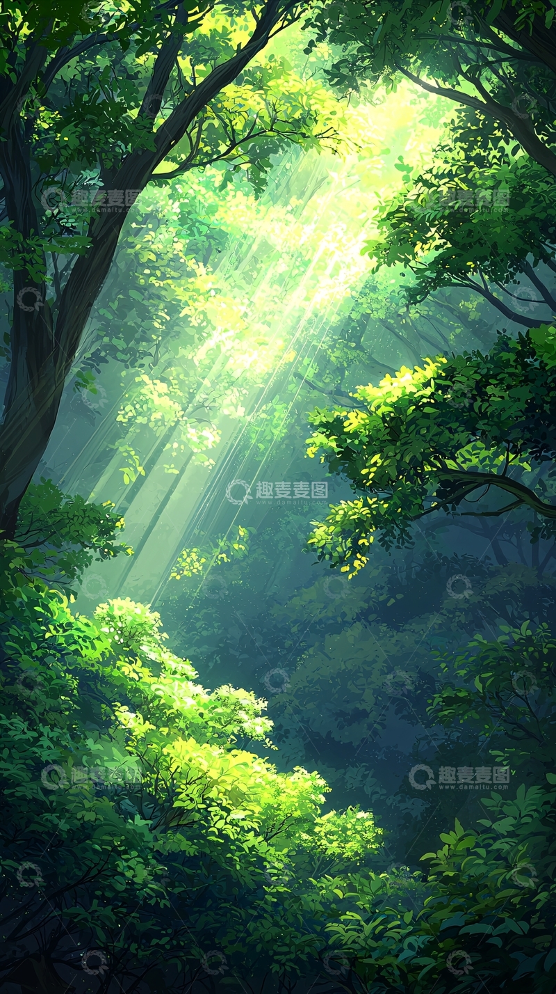 高清大图下载【趣麦麦图】森林中的阳光穿透