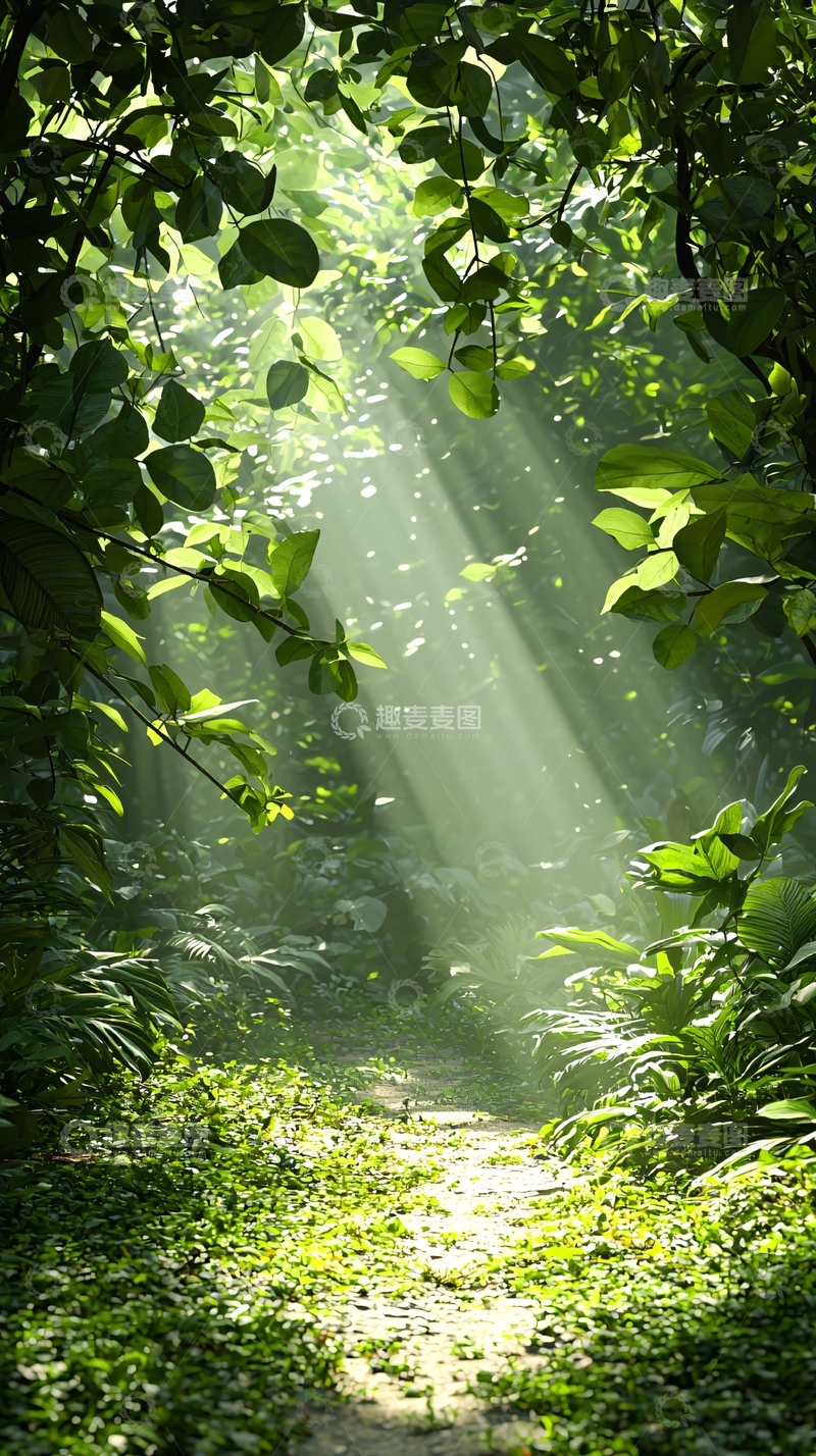 高清大图下载【趣麦麦图】阳光穿透森林的小径
