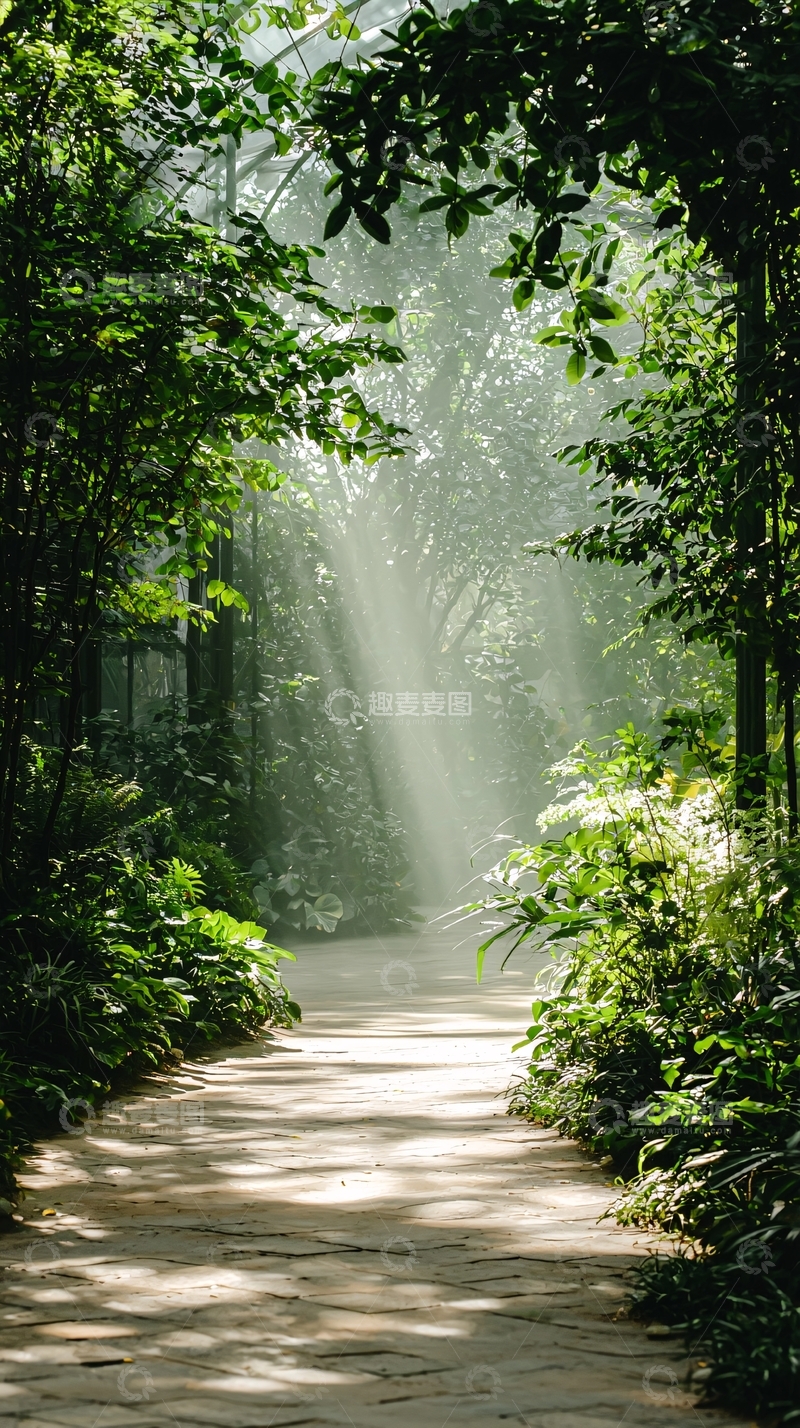 高清大图下载【趣麦麦图】阳光穿过森林的小径