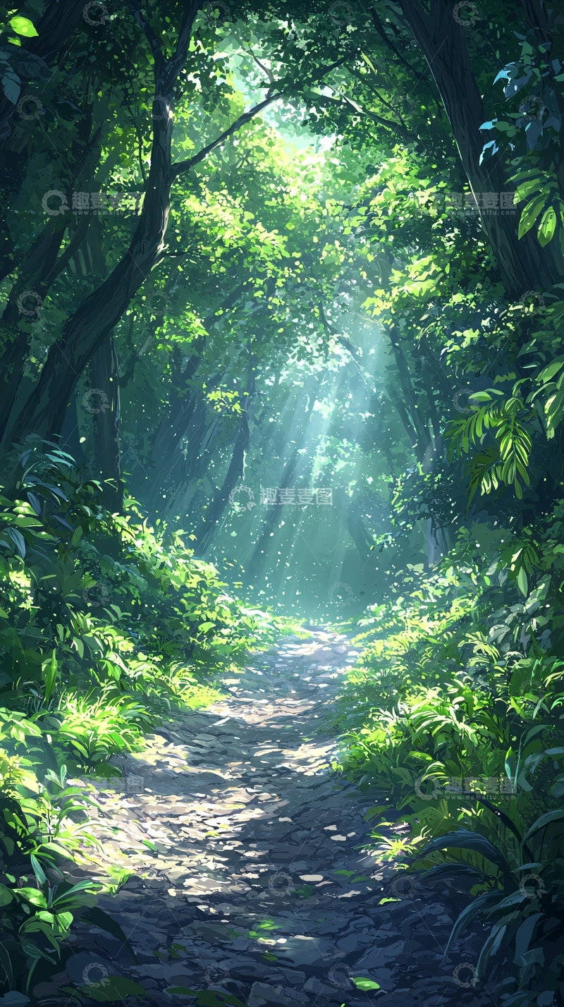 高清大图下载【趣麦麦图】森林小径阳光穿透