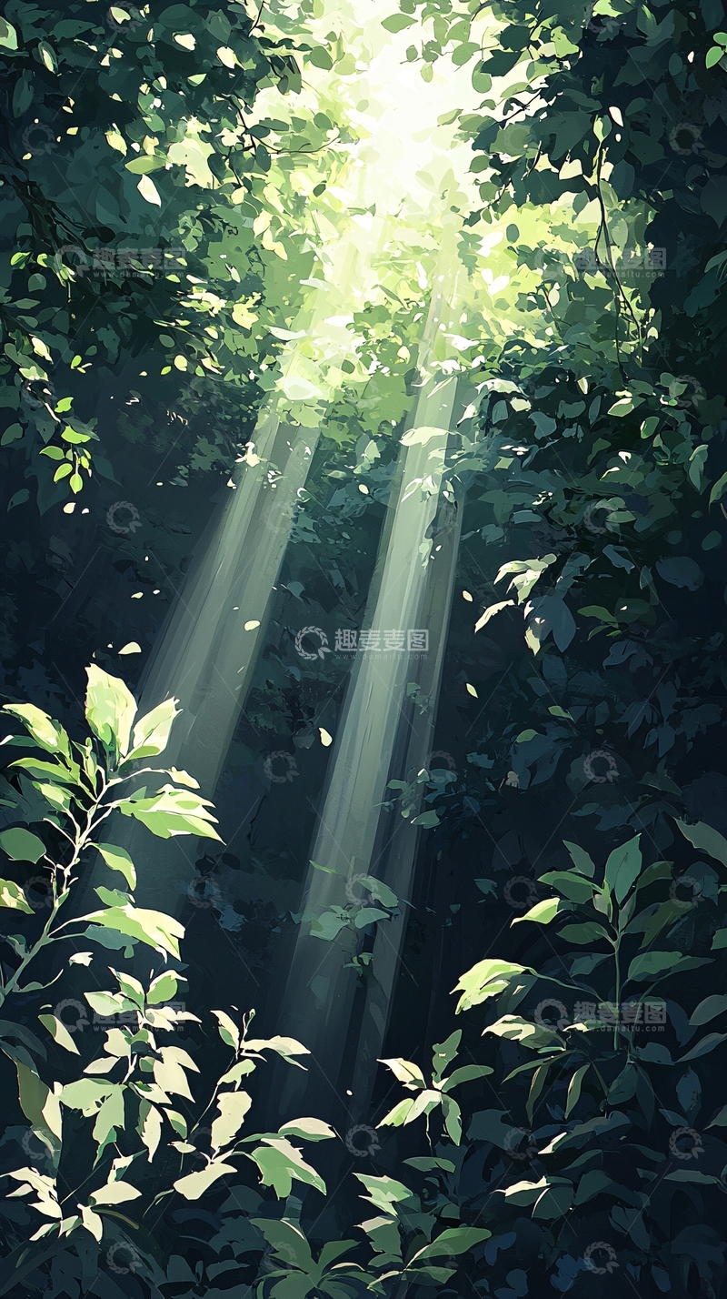 高清大图下载【趣麦麦图】森林中的阳光穿透树叶