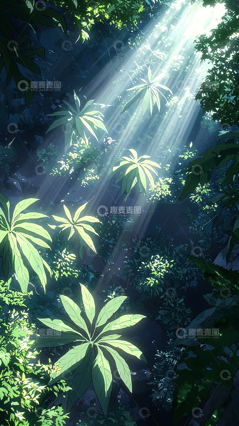 高清大图下载【趣麦麦图】森林中的阳光穿透树叶