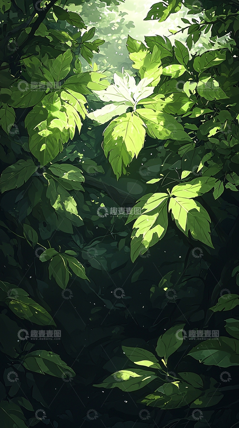 高清大图下载【趣麦麦图】森林中的光影与绿叶