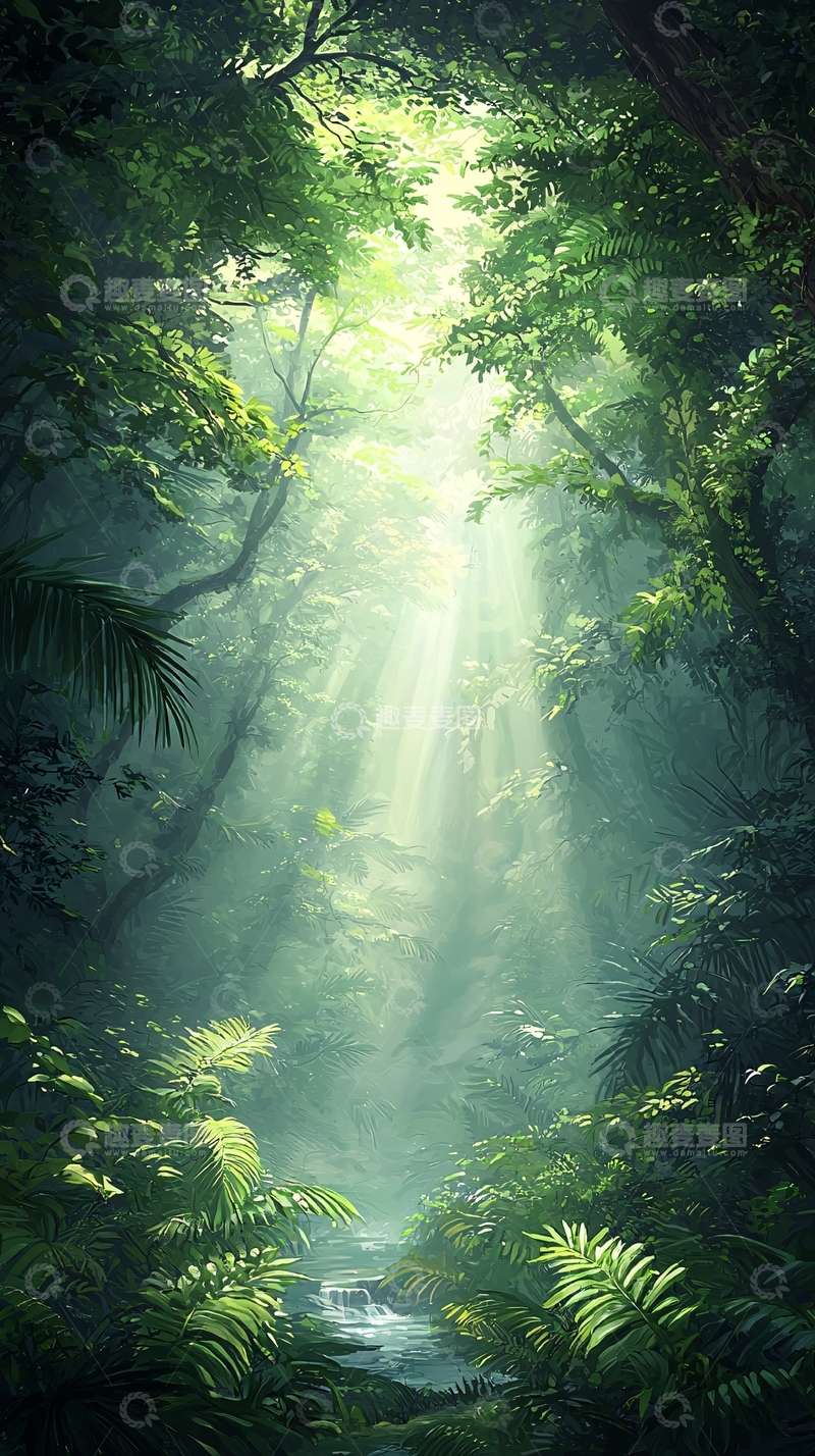 高清大图下载【趣麦麦图】阳光穿透丛林的神秘森林