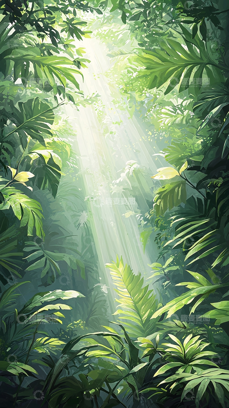 高清大图下载【趣麦麦图】阳光穿透丛林的自然风光