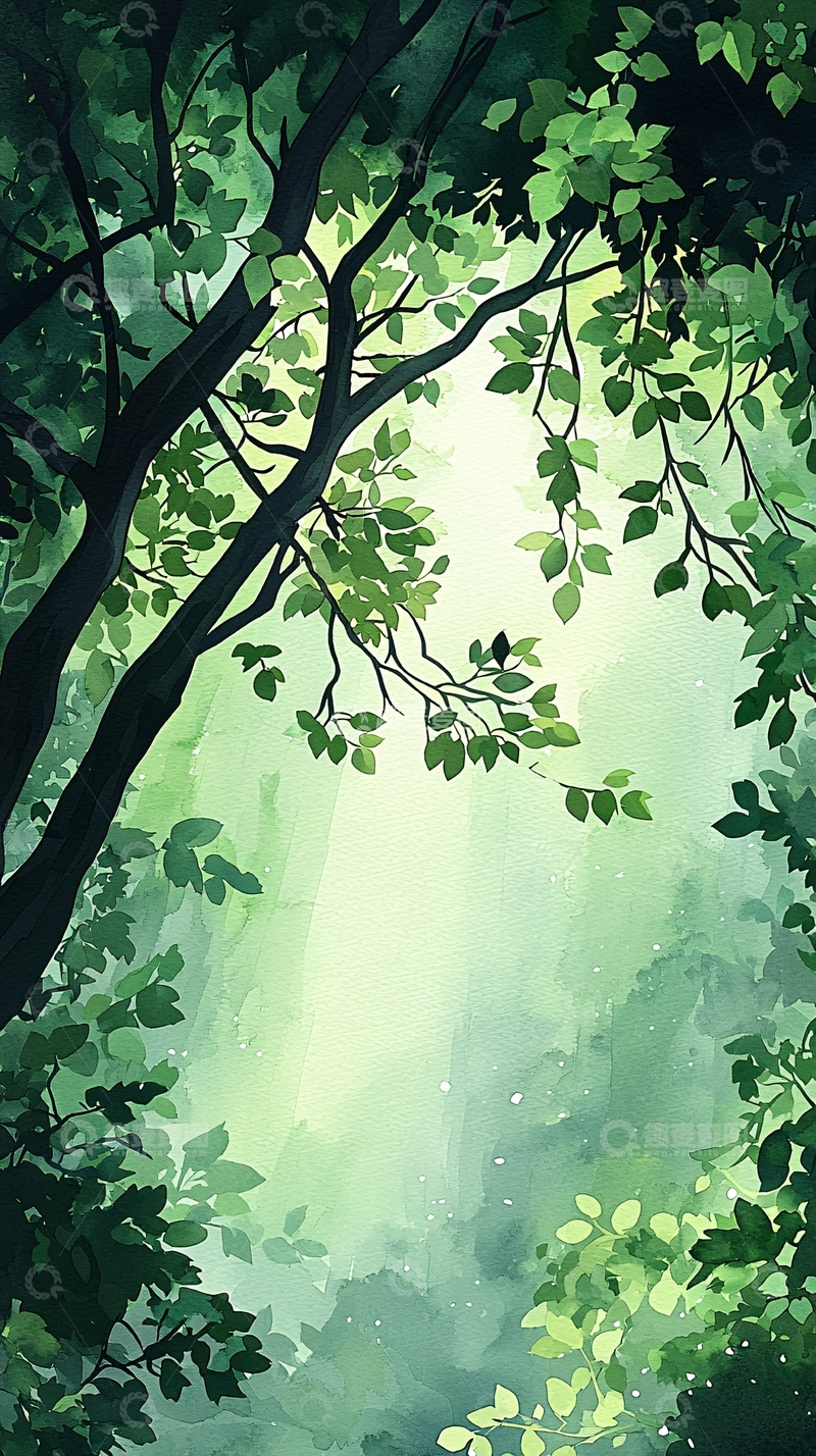 高清大图下载【趣麦麦图】夏日森林光影