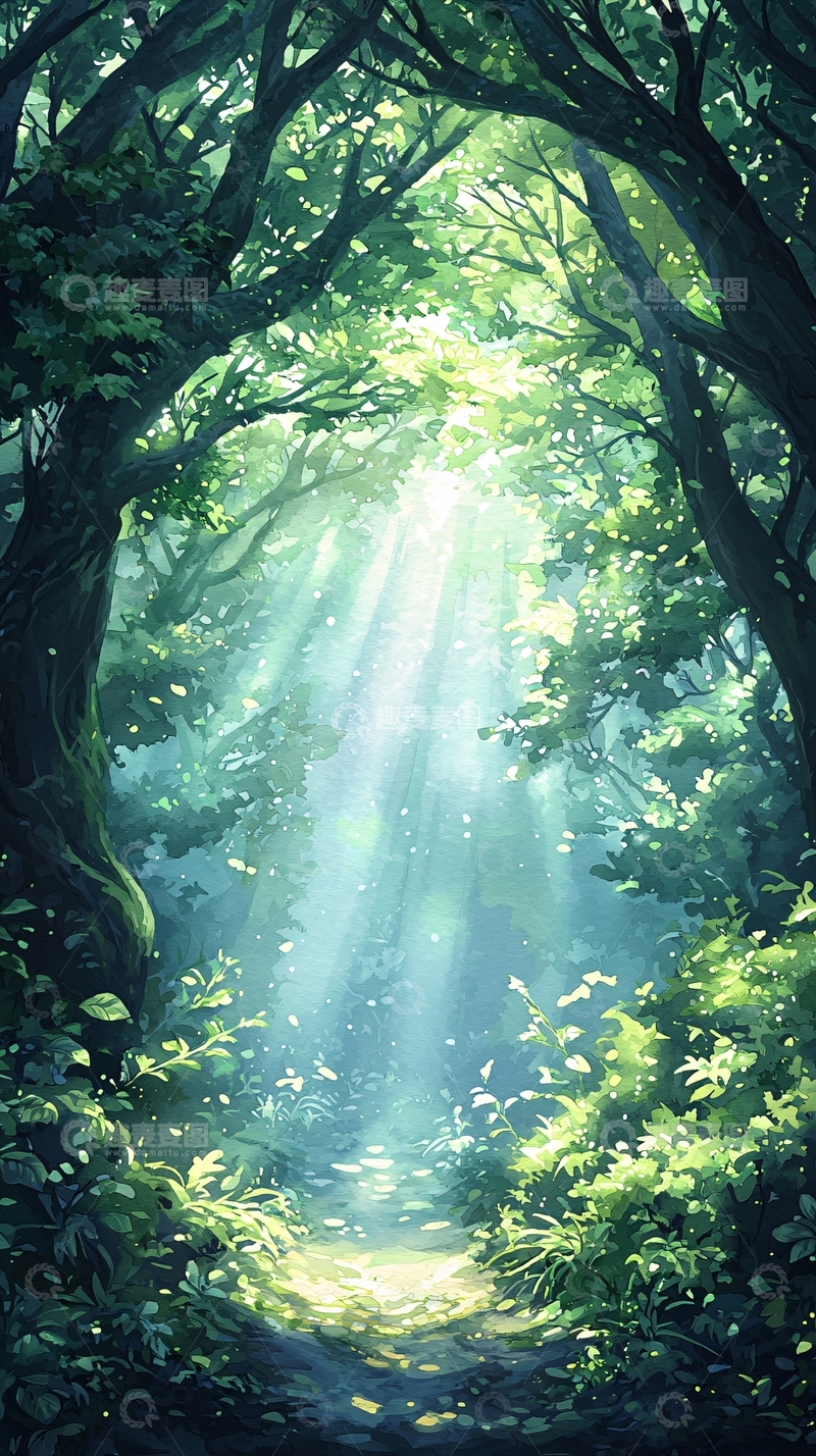 高清大图下载【趣麦麦图】森林中的阳光穿透树梢