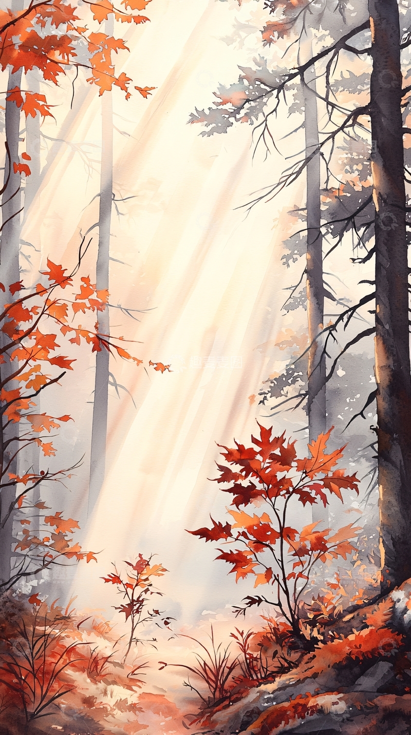 高清大图下载【趣麦麦图】秋日森林阳光穿透