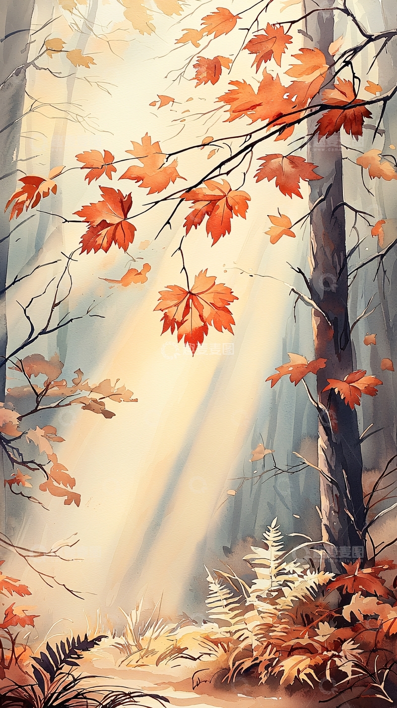 高清大图下载【趣麦麦图】秋日森林阳光穿透