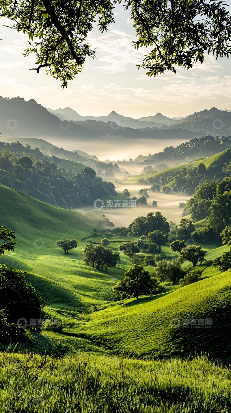 高清大图下载【趣麦麦图】晨雾中的绿色山谷
