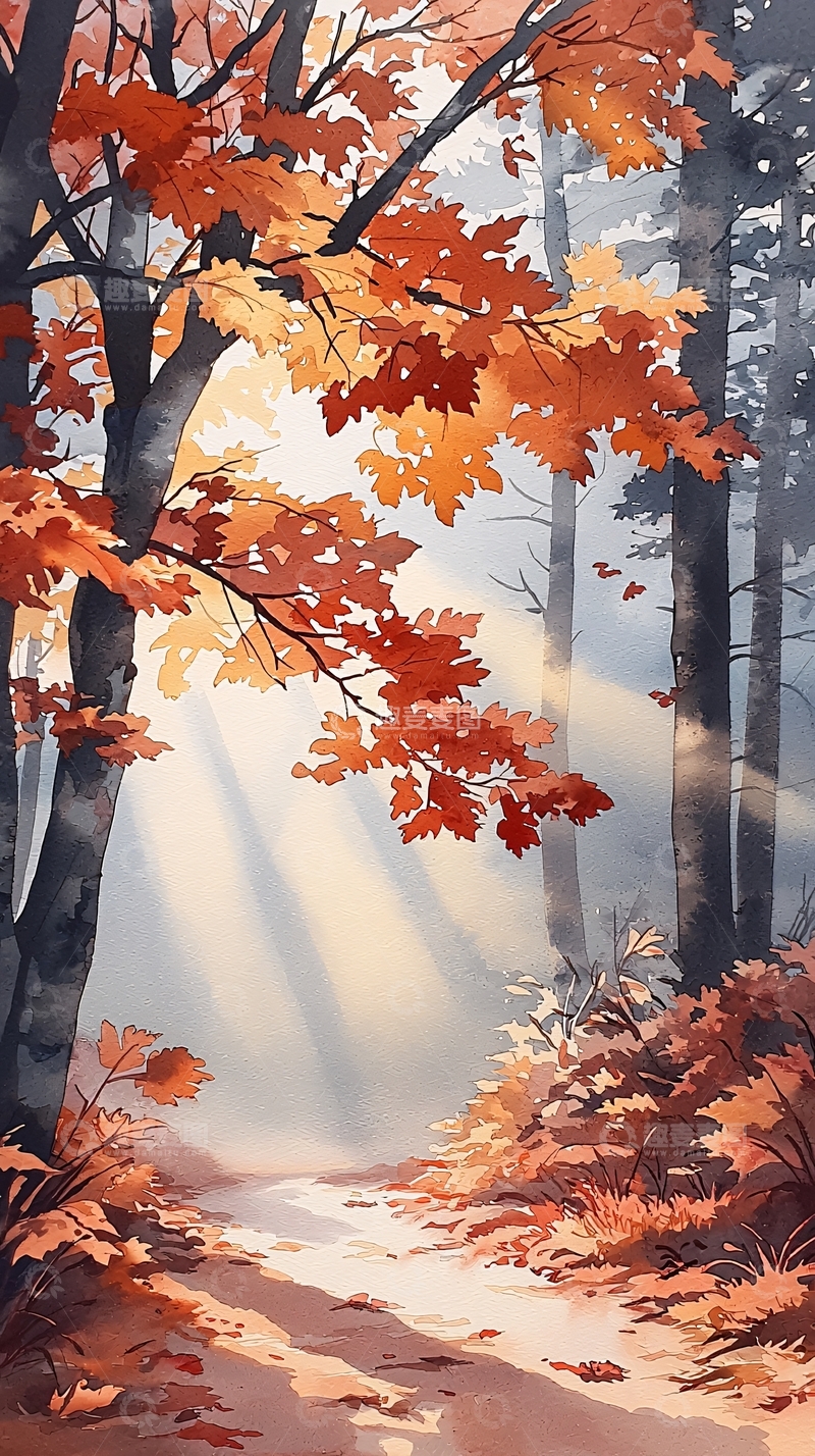 高清大图下载【趣麦麦图】秋日森林光影小径