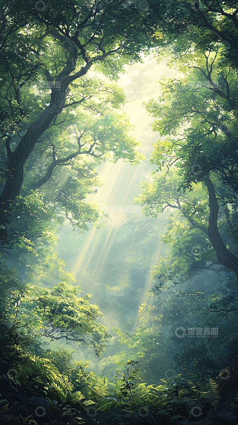 高清大图下载【趣麦麦图】阳光穿透森林