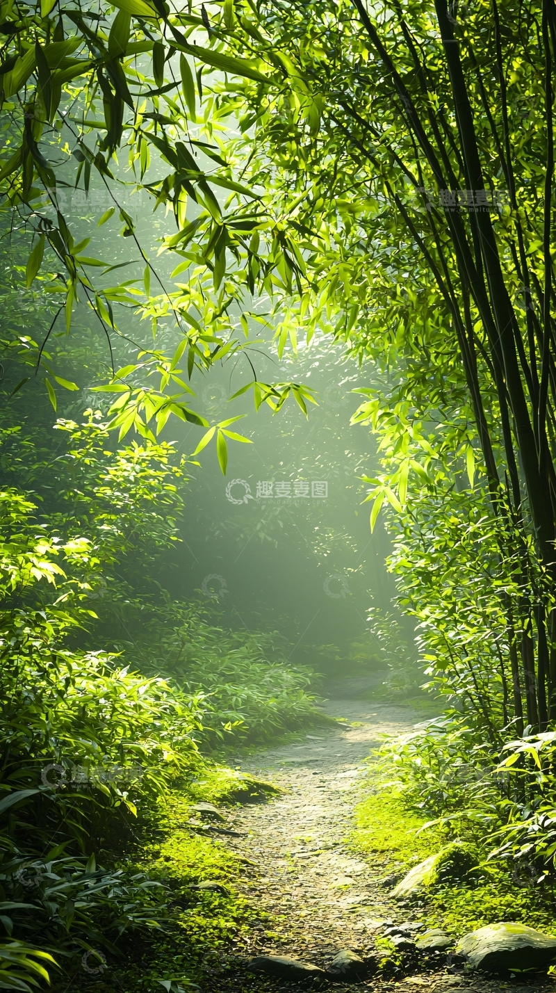 高清大图下载【趣麦麦图】竹林小径阳光穿透