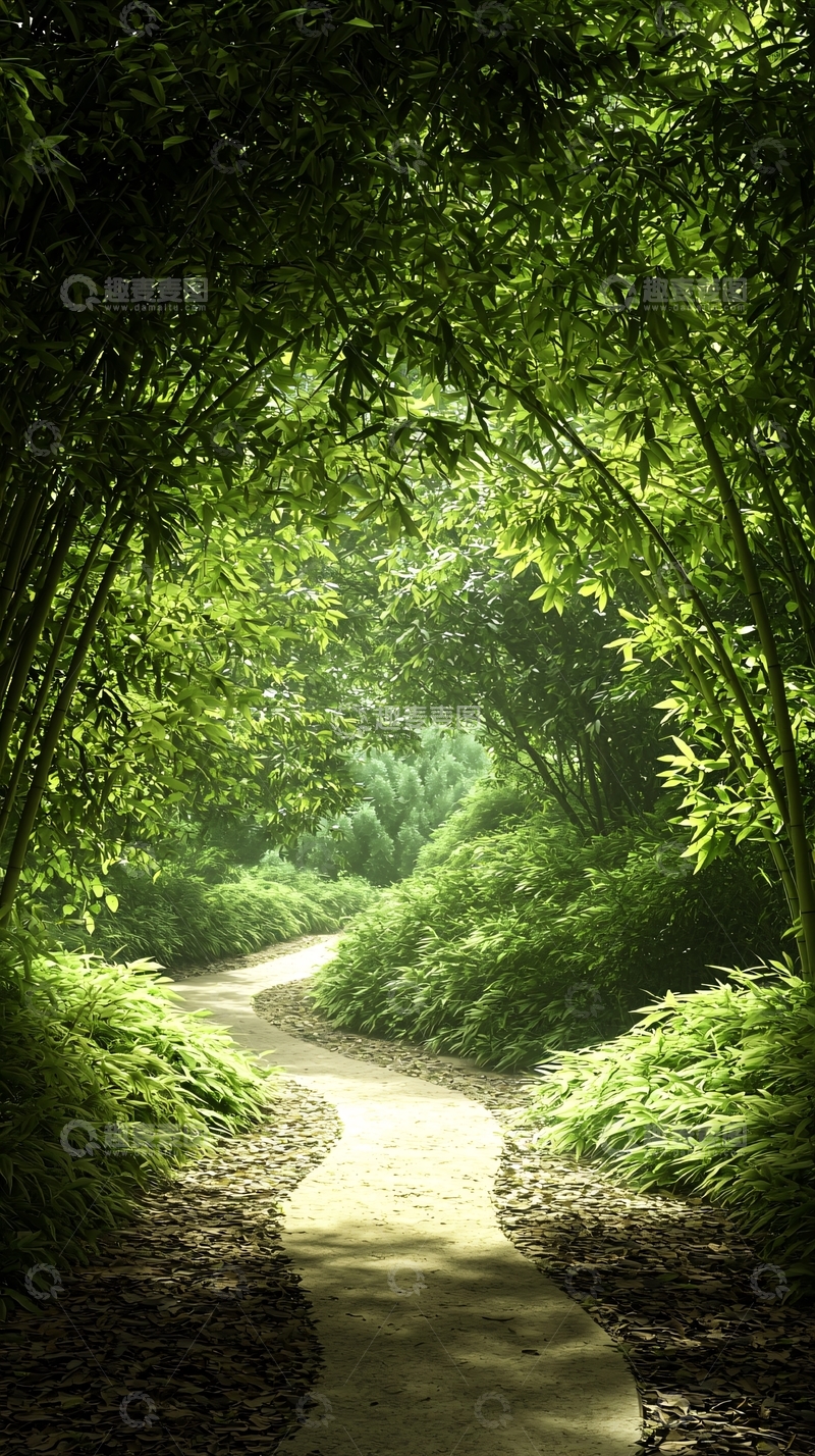 高清大图下载【趣麦麦图】竹林小径自然风光