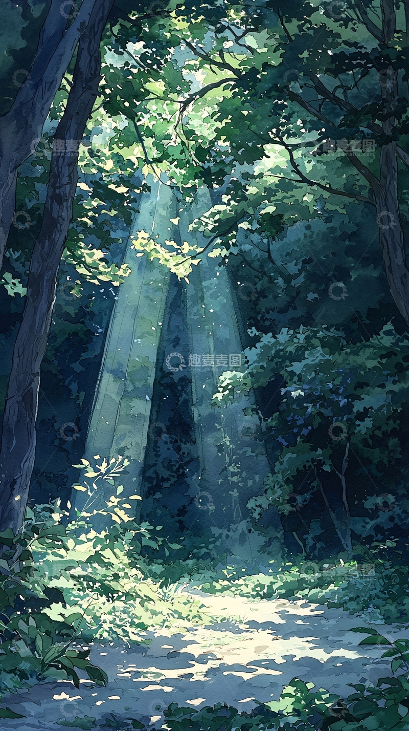 高清大图下载【趣麦麦图】森林中的阳光穿透