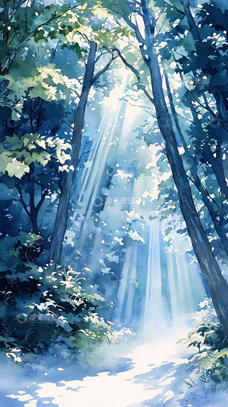 高清大图下载【趣麦麦图】森林中的阳光穿透