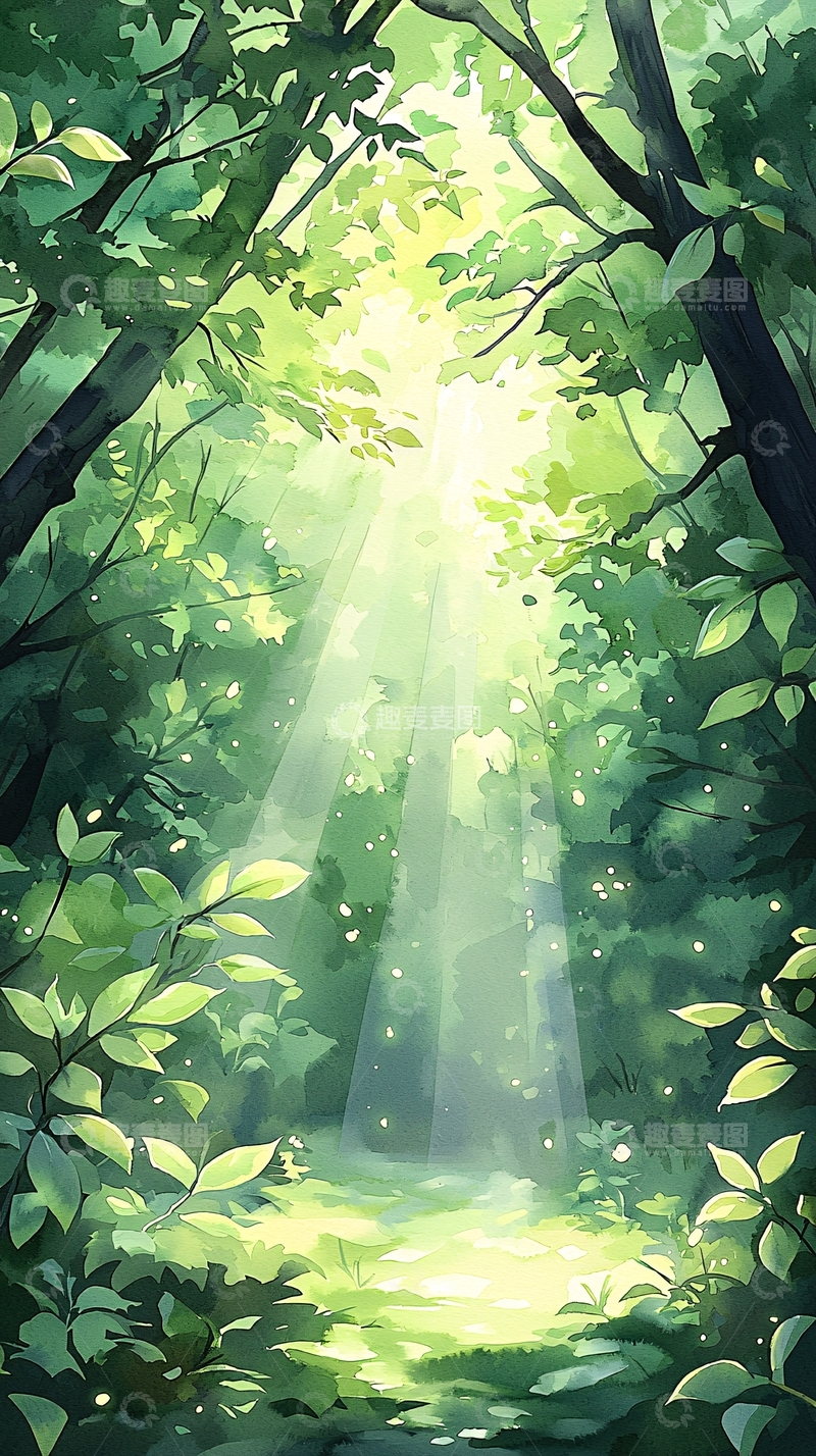 高清大图下载【趣麦麦图】森林中的阳光穿透树叶