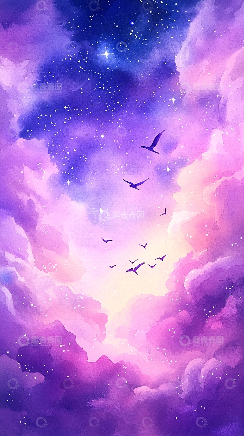 高清大图下载【趣麦麦图】梦幻星空与飞鸟