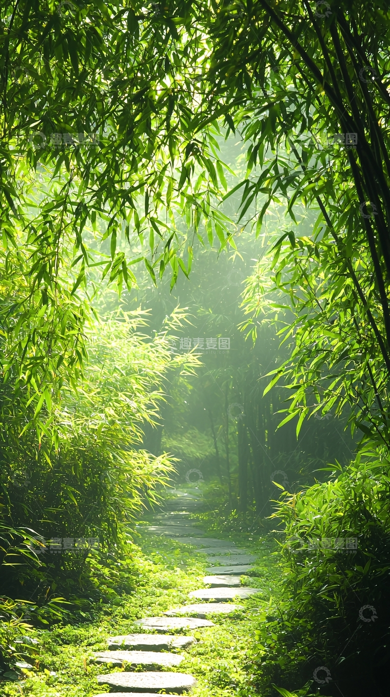 高清大图下载【趣麦麦图】竹林小径阳光明媚