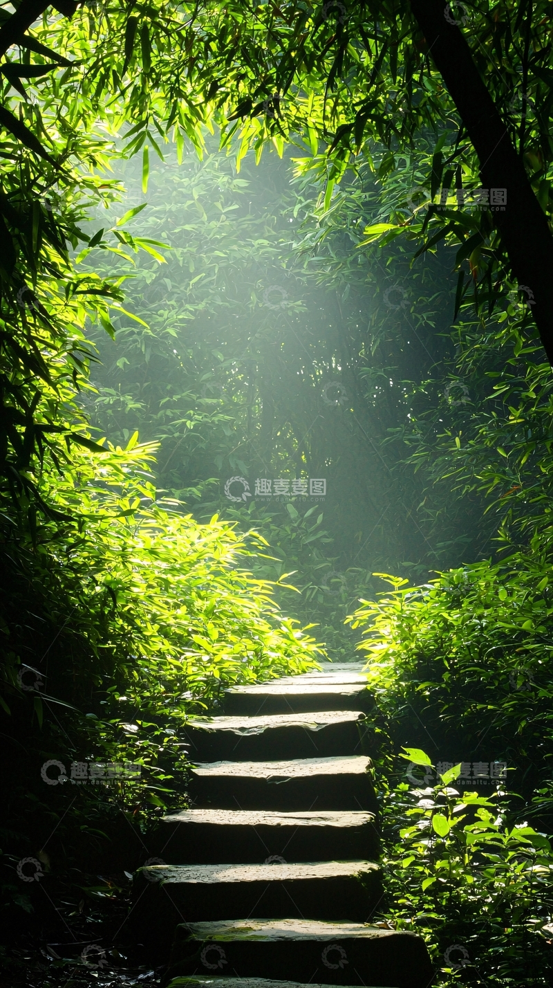 高清大图下载【趣麦麦图】森林中的石阶