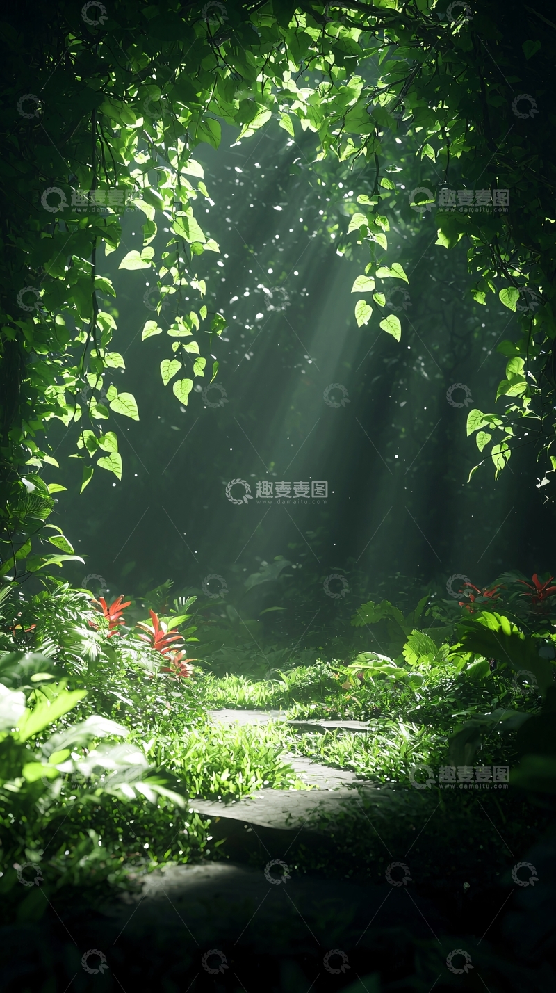 高清大图下载【趣麦麦图】阳光穿透丛林的小径