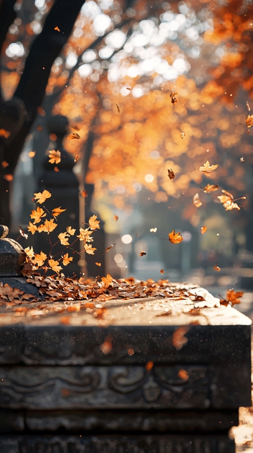 秋日落叶飘舞街头