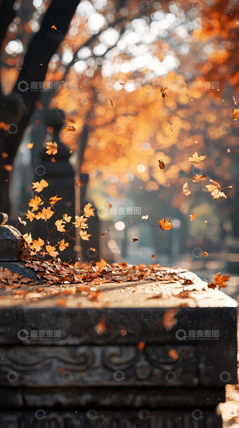 高清大图下载【趣麦麦图】秋日落叶飘舞街头