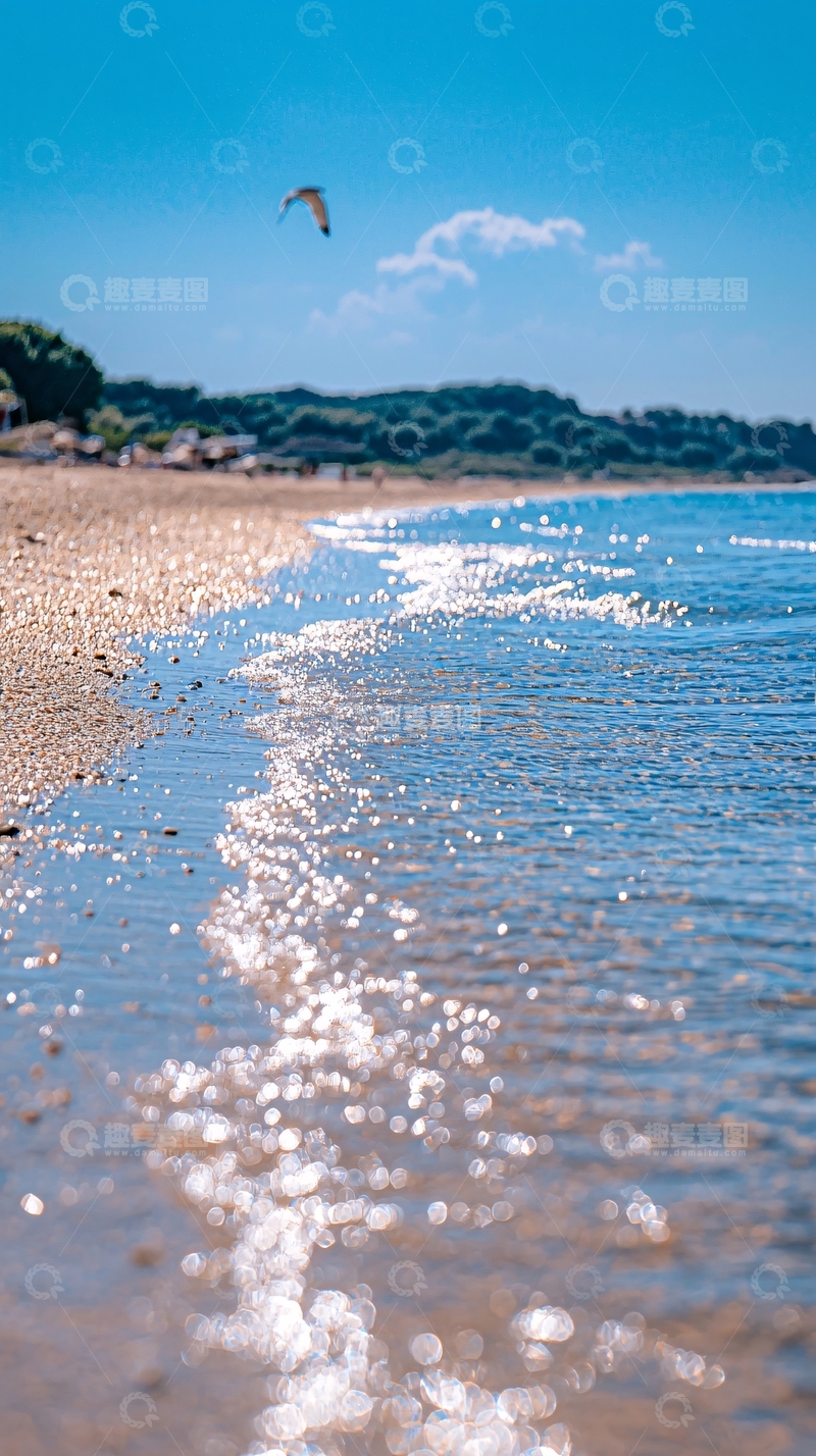 高清大图下载【趣麦麦图】阳光海滩海鸥飞翔