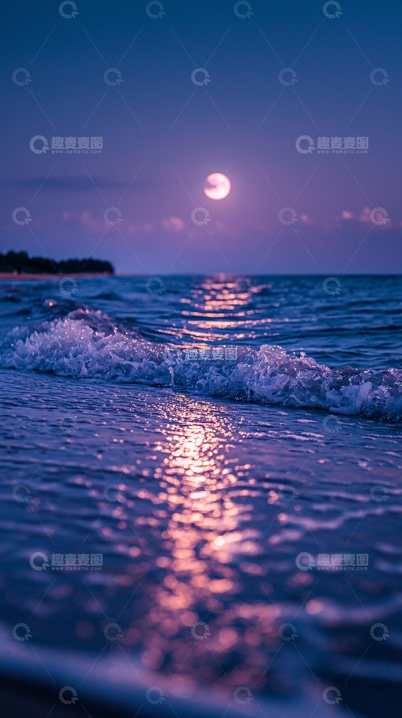 高清大图下载【趣麦麦图】月光下的海滩波浪