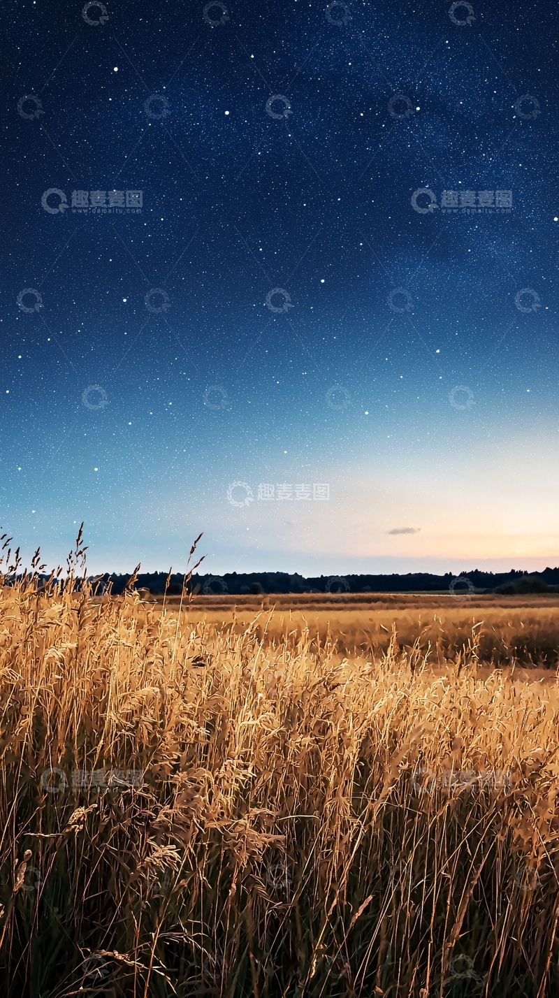 高清大图下载【趣麦麦图】星空下的麦田夜景