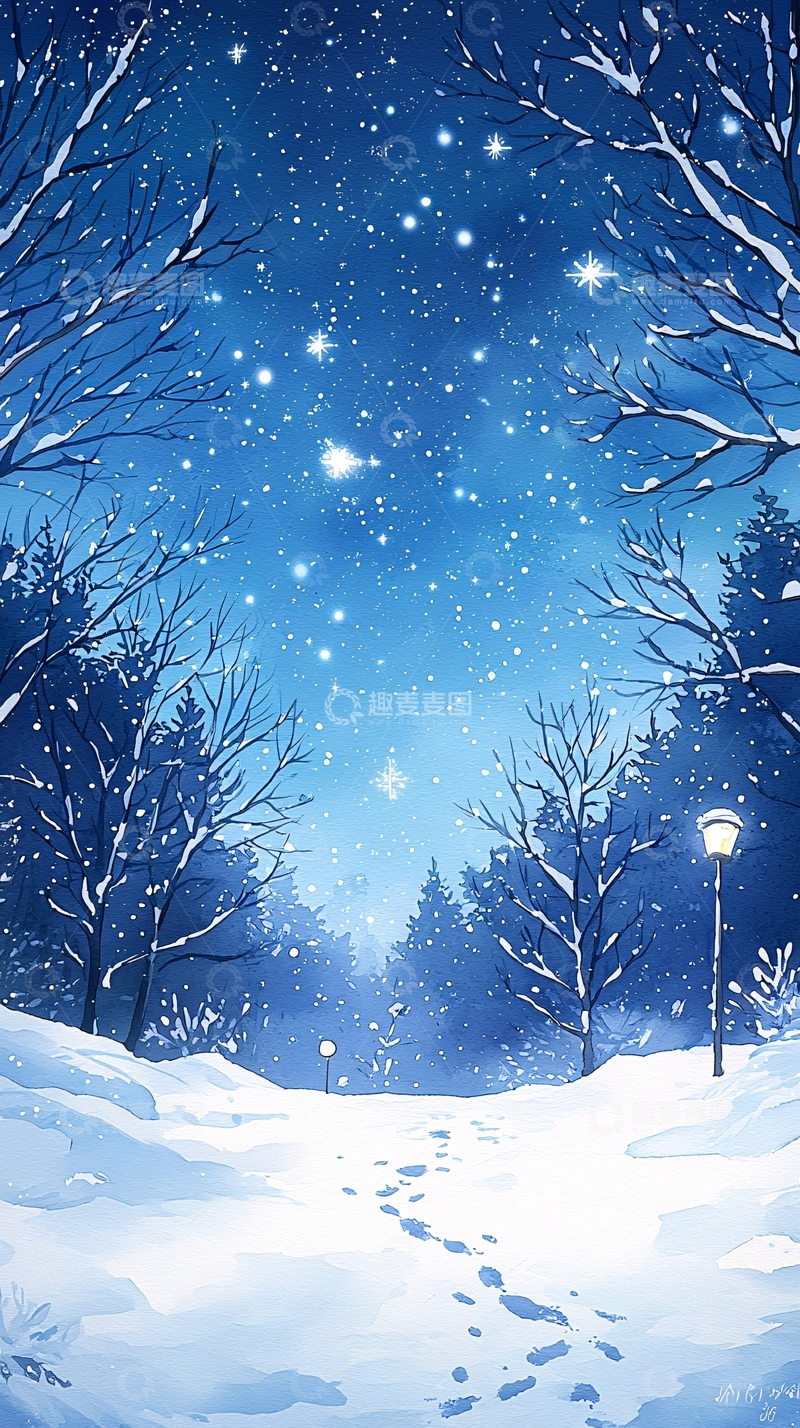 高清大图下载【趣麦麦图】冬夜雪景灯下小径