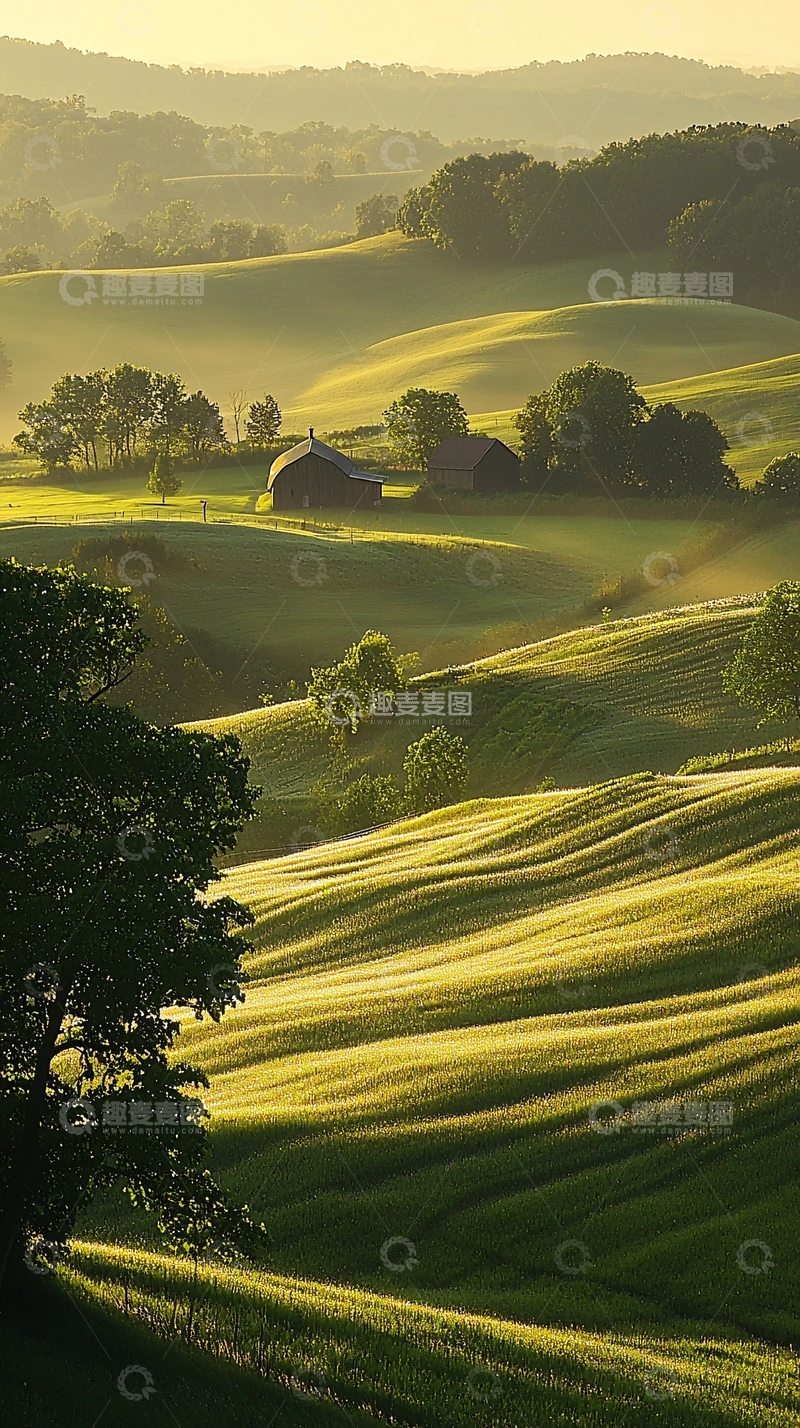高清大图下载【趣麦麦图】晨光中的绿色田野与农舍