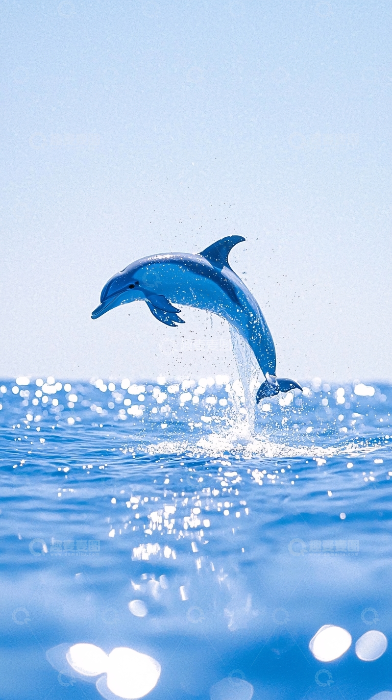 高清大图下载【趣麦麦图】跃出水面的海豚10