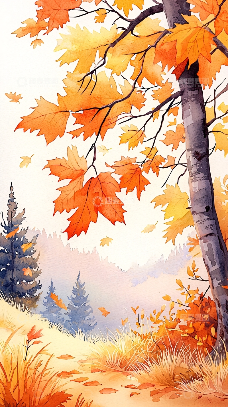 高清大图下载【趣麦麦图】秋日森林落叶风景